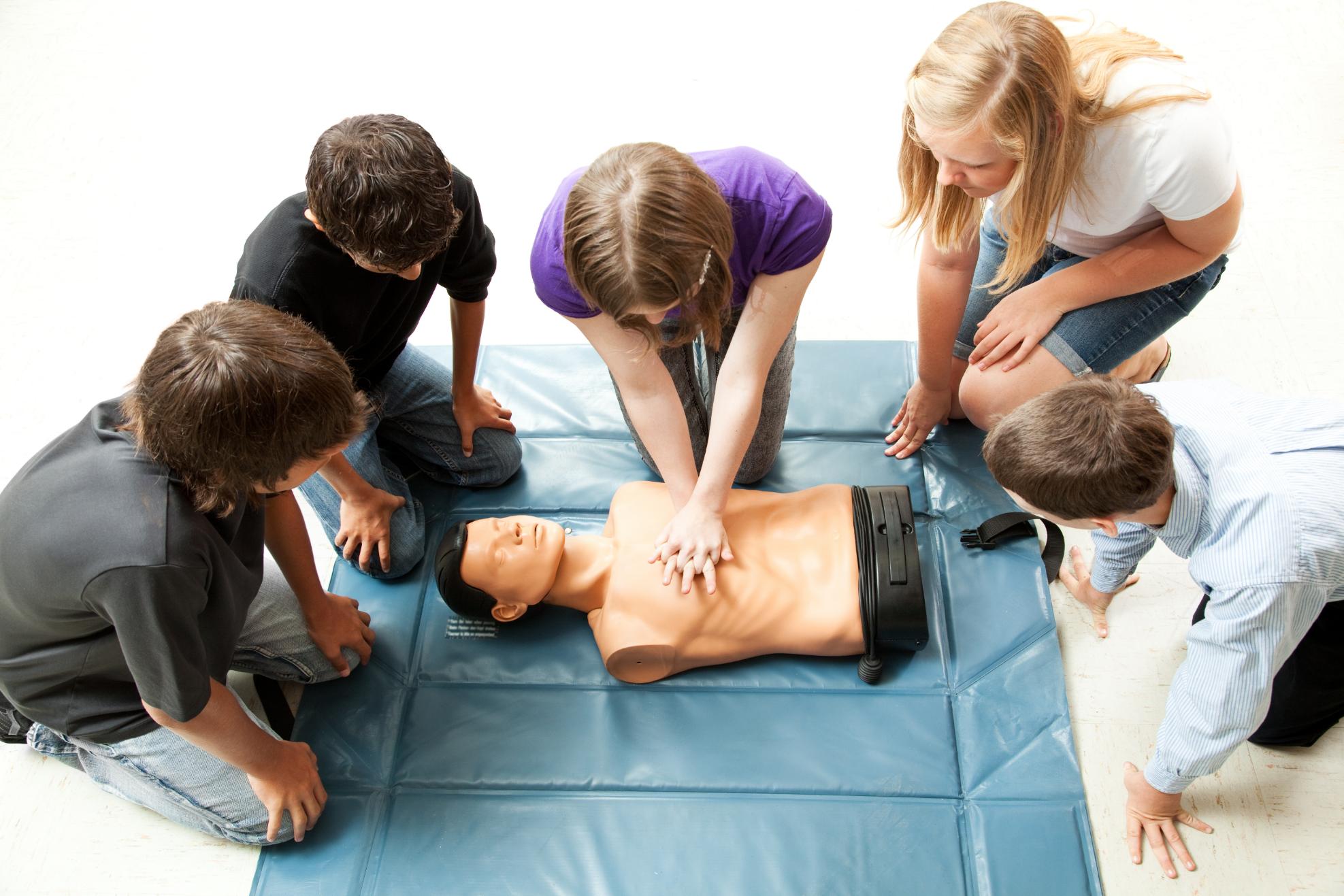 Sauveteur junior (prévention, protection, alerter et secourir)